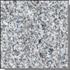 granit; Bianco Sardo; symbol- G623; inne nazwy- Silver Grey